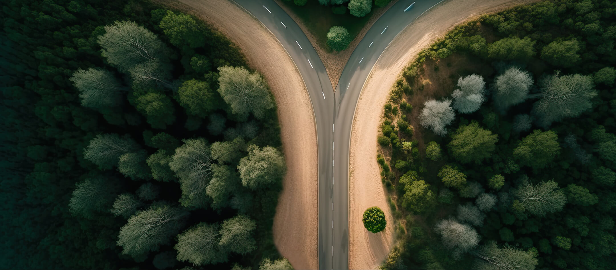 konfliktmanagement-seminare-konfliktmanagement-wirtschaftsmediator